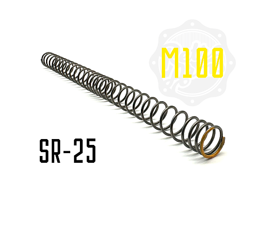 SR25 Spring SiCr with progressive winding M100