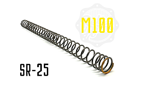 SR25 Spring SiCr with progressive winding M100